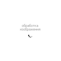Полуботинки BRIGGS 095-4511A-5602 фото 1